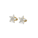 Tiara Pure Gold Lab Grown Diamond Stud Earrings thumbnail 1